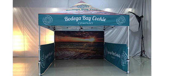 10x10 pop up canopy